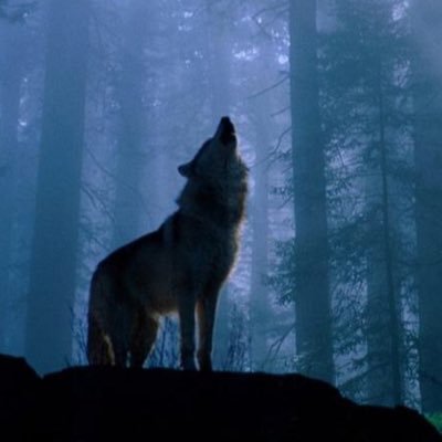 Profile Picture of Abraham Josue Baron (@abraham1334444) on Twitter