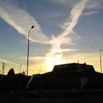 Profile Picture of Michalina Borowczyk (@michalinaborowczyk) on Instagram