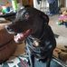 Profile Picture of Wayne Sharkey (@wayne.sharkey.71) on Facebook