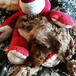 Profile Picture of clare watters🌱 (@wattersclare) on Instagram