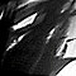 Profile Picture of Brian Paco Viscarra (@Brian P. Viscarra) on Flickr