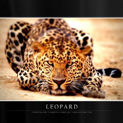Profile Picture of Raymond Collings (@RaymondCollings) on Twitter