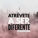 Profile Picture of Max Alvarez (@maximiliano.alvarez.587) on Facebook