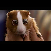 Profile Picture of Leo Hellman (@hearhotel) on Youtube