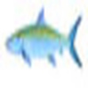 Profile Picture of Mike Sampson (@flyfishbum) on Flickr