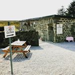 Profile Picture of Debbie Grassam (@theoldpiggeryshop) on Instagram