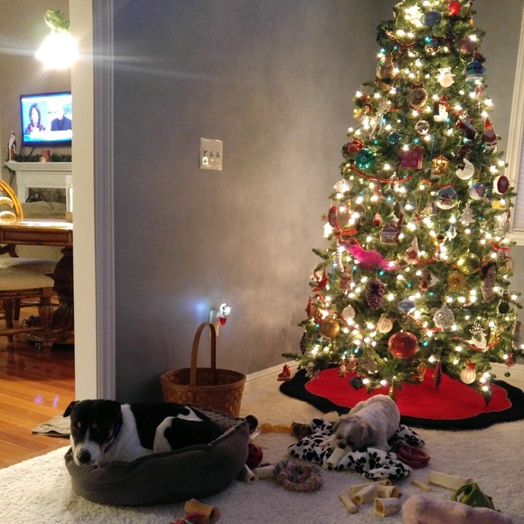 Profile Picture of Abby Sandusky (@abbs_m) on Poshmark