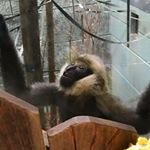 Profile Picture of Leon Burrell (@leon.burrell.5851) on Instagram