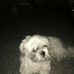 Profile Picture of Walter Trumpe (@walter.trumpe.75) on Facebook