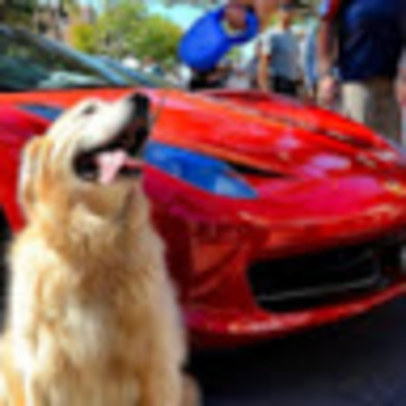 Profile Picture of Sean Makepeace (@seanmakepeace13) on Poshmark