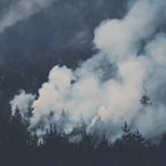 Profile Picture of 刘文鑫 (@michael_levinson_lau) on Instagram