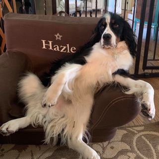 Profile Picture of Matt Hazle (@matt.hazle.52) on Facebook