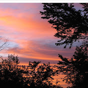 Profile Picture of Cedric Hampton (@cedrichampton198) on Youtube