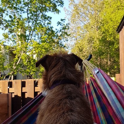 Profile Picture of Jessica Loslo (@JessicaLoslo) on Twitter