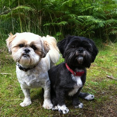 Profile Picture of Michael Pears (@Michaelpears6) on Twitter