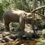 Profile Picture of Martin Marcotte (@martin.marcotte.35) on Facebook