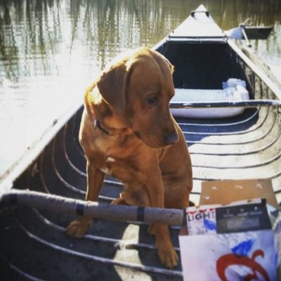 Profile Picture of Jake Fassett (@fire368) on Twitter