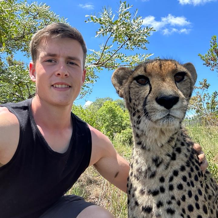 Profile Picture of Will Whitmarsh (@wjw99) on Tiktok