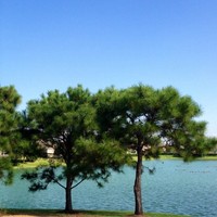 Profile Picture of Trudy Nguyen (@trudy-nguyen-3) on Quora