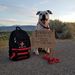Profile Picture of Marshall Danielson (@marshalltexasra) on Pinterest