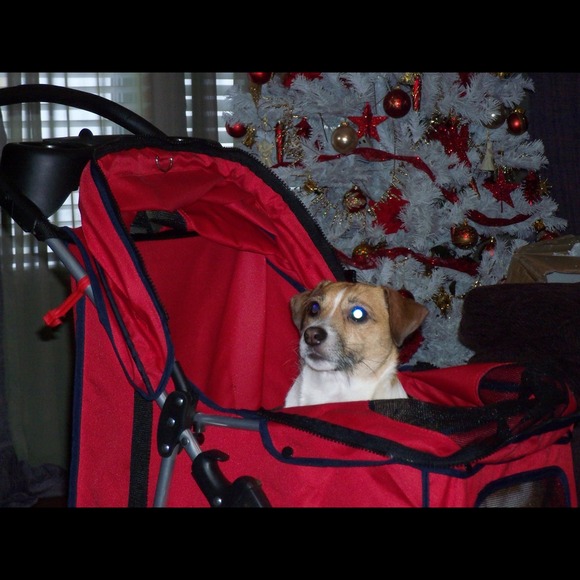 Profile Picture of Paula Whited (@pmwhit02) on Poshmark