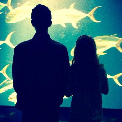 Profile Picture of Cindy Grogan (@cindyg41) on Twitter