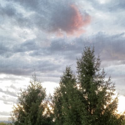 Profile Picture of David Zick (@davidzick5) on Twitter