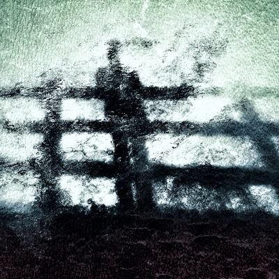 Profile Picture of Paula Cooper (@iceniphoto) on Twitter