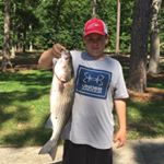 Profile Picture of Trent Bradley (@trentbradleyfishing) on Instagram