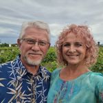 Profile Picture of Lisa Barraclough Cammell (@lisa_barraclough) on Instagram