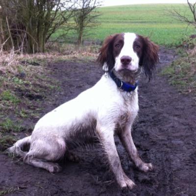 Profile Picture of Mark Cunliffe (@markscsi) on Twitter