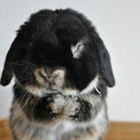 Profile Picture of Jocelyn Beltran (@jocelyn-beltran-15) on Quora