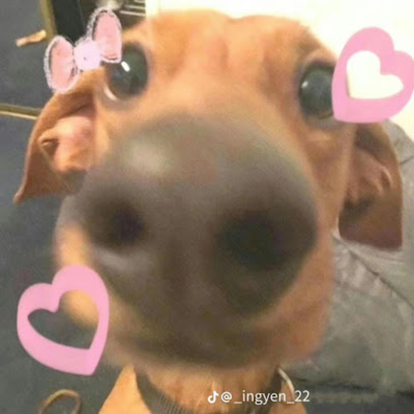 Profile Picture of Ái ly Hoàng (@ailyhoang2011) on Poshmark