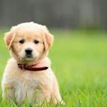 Profile Picture of Elijah Mullins (@eli_mullins_photography) on Instagram