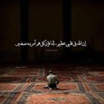 Profile Picture of Ibrahim Badawi (@badawi8628) on Instagram