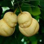 Julienne Akamba - Facebook Profile Picture of Julienne Akamba (@julienne.akamba.7) on Facebook