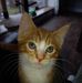 Profile Picture of Kim Baylis (@Kim-Baylis) on Facebook
