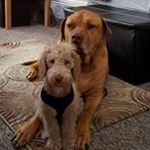 Profile Picture of Neil Chadwick (@neil.chadwick59) on Instagram