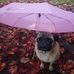 Profile Picture of Helen Salter (@helen.salter.1426) on Facebook