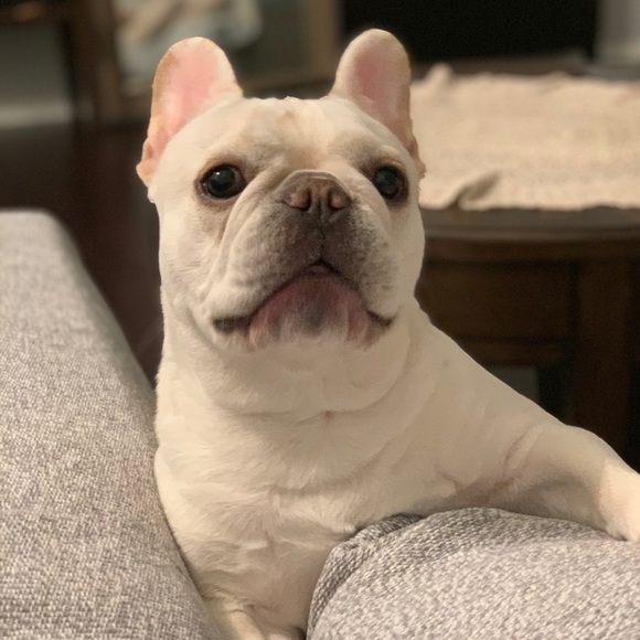 Profile Picture of Joey Liu (@lzy1220) on Poshmark