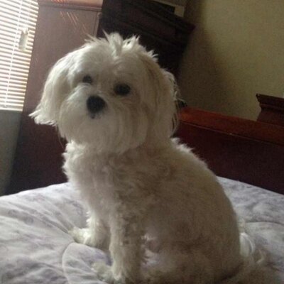 Profile Picture of Kim Kittrell (@kkittrell53) on Twitter