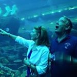 Profile Picture of Susan Connally Bradford (@susancbradford) on Instagram