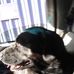Profile Picture of Mark Lattin (@mark.lattin.77) on Facebook