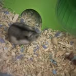 Profile Picture of Jacob Stone (@Jacob-Stone) on Facebook