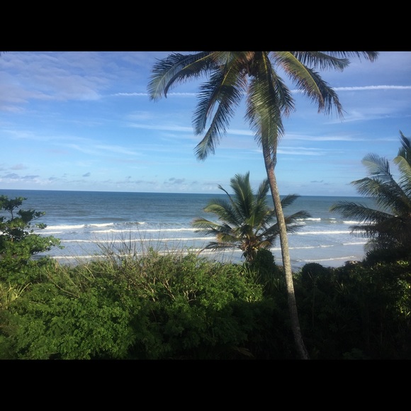 Debora Almeida - Poshmark Profile Picture of Debora Almeida (@debialmeida) on Poshmark