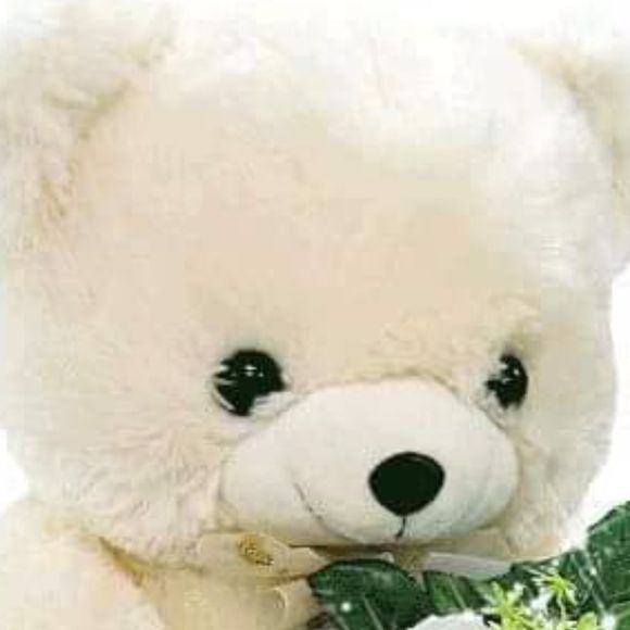 Profile Picture of Marta Araoz (@soledad77roxy) on Poshmark