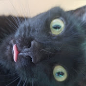 Profile Picture of David Forrest (@davidforrest399) on Youtube