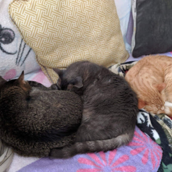 Profile Picture of Leslie Bryan (@cindaybryan) on Poshmark