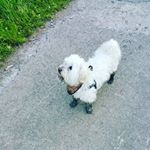 Profile Picture of Eric Bleeker (@bleekereric) on Instagram
