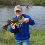 Profile Picture of Carson Crow (@crowhorn82) on Instagram